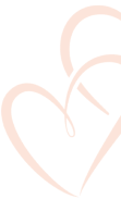 vector design