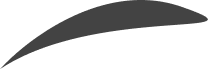 vector design
